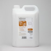 shampoo-rasberry-5000ml-1-500x500.jpg
